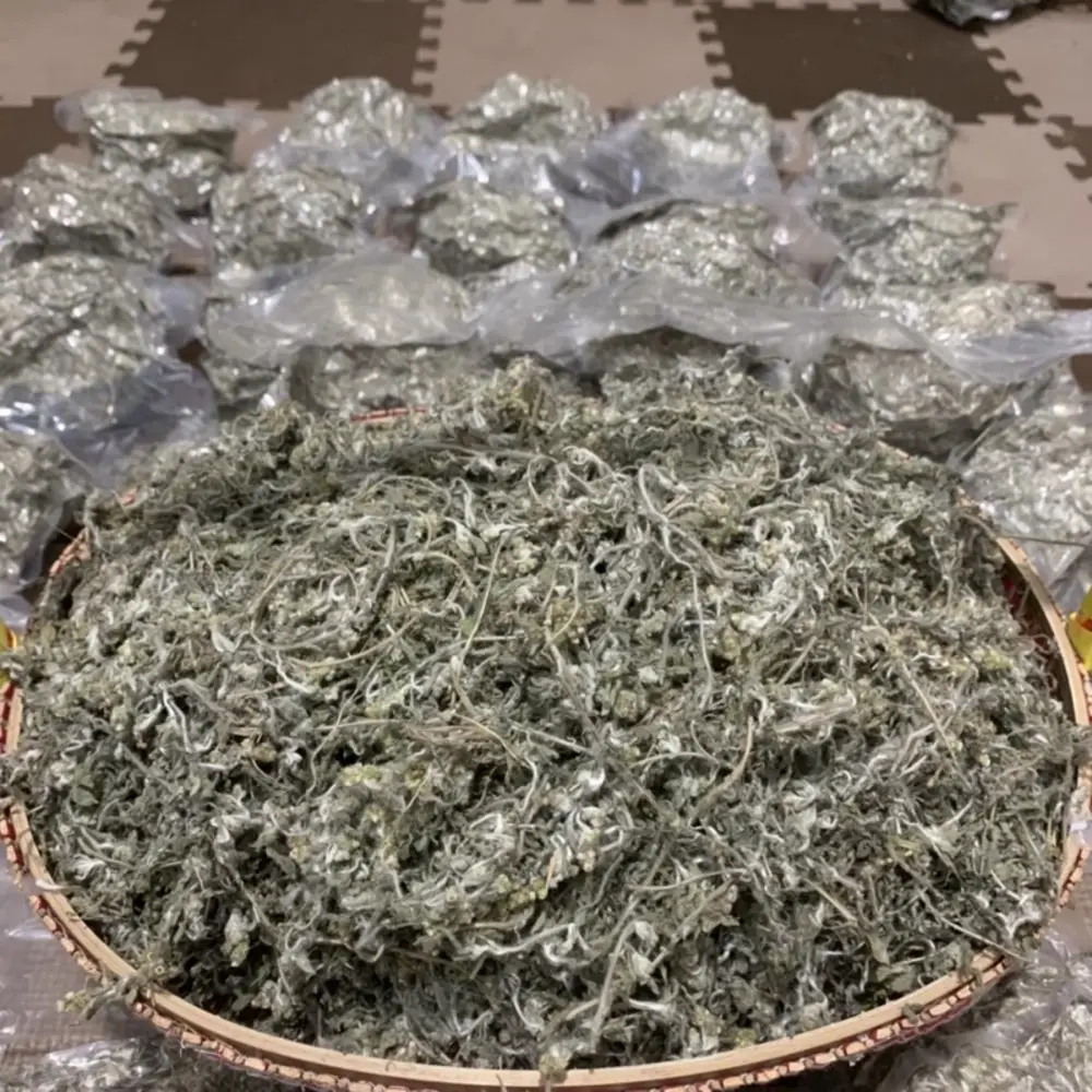 Bảo quản rau khúc khô trong lọ thủy tinh kín giúp ngăn ẩm mốc và giữ được hương vị lâu dài