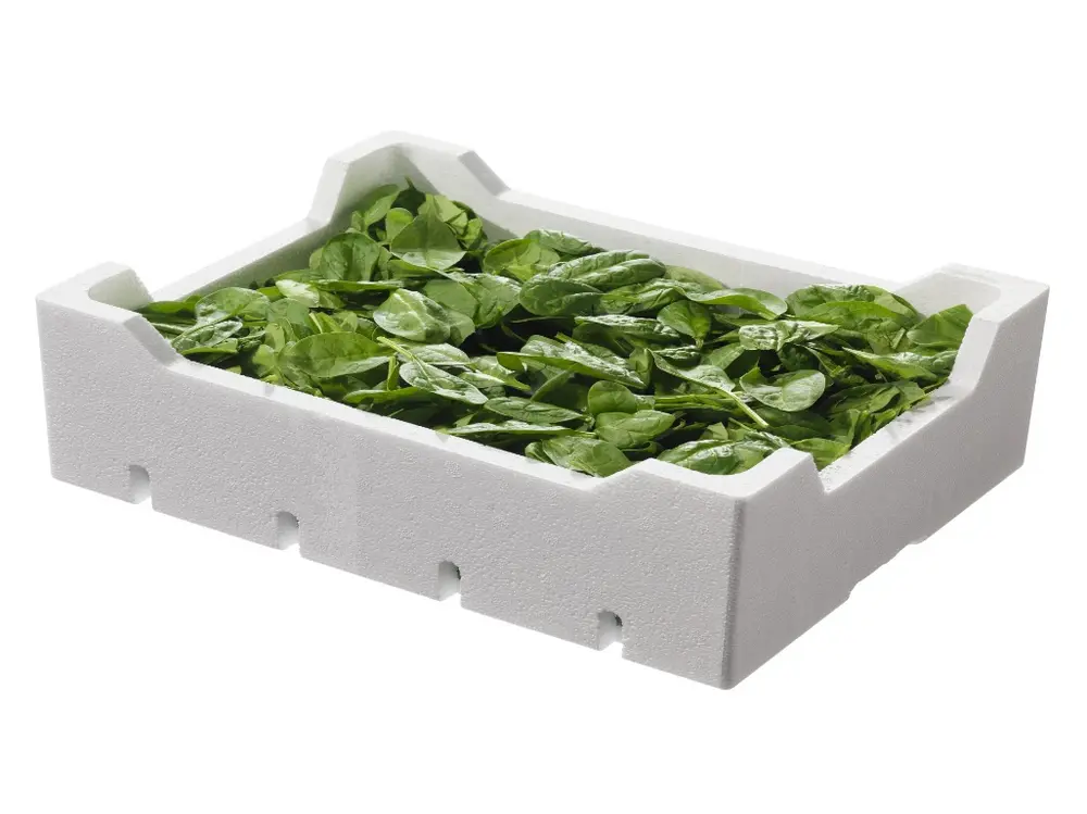 Bảo quản xà lách bằng thùng xốp và đá là cách giữ rau tươi ở nhiệt độ phòng trong thời gian ngắn
