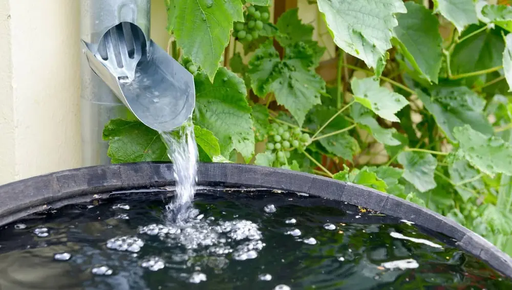 Tận dụng nước mưa và tái sử dụng nước xám giúp giảm đáng kể lượng nước sạch tiêu thụ cho các hoạt động không cần thiết