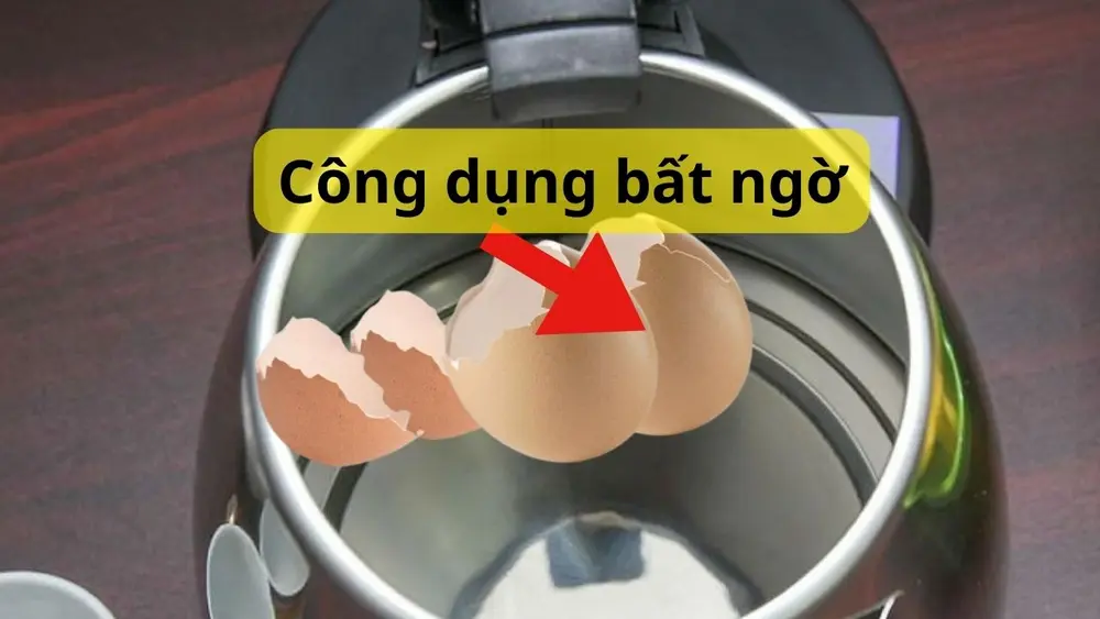 Vỏ trứng gà là một mẹo vệ sinh ấm siêu tốc độc đáo giúp làm bong các mảng cặn bám