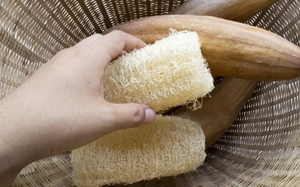Xơ mướp khô là một công cụ tự nhiên giúp làm sạch ấm siêu tốc và ngăn cặn bám hiệu quả