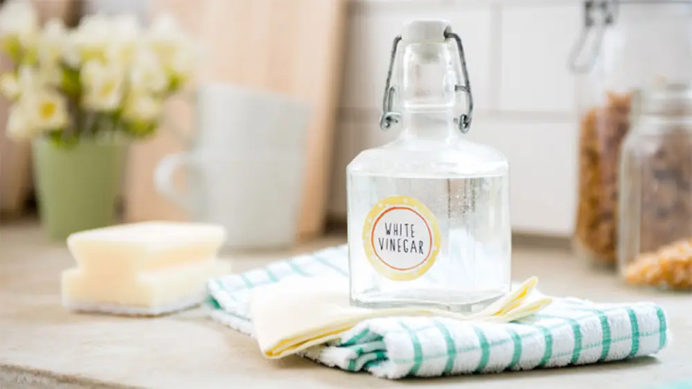 Giấm ăn là một giải pháp tẩy rửa mạnh mẽ giúp vệ sinh chảo inox bị cháy khét hoặc ố vàng hiệu quả