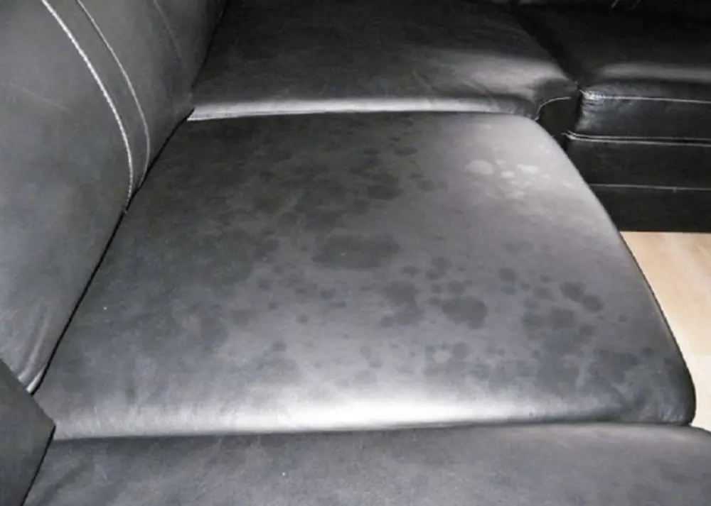 Xử lý vết mốc trên sofa da cần sự cẩn thận và dung dịch phù hợp để tránh làm hỏng bề mặt da