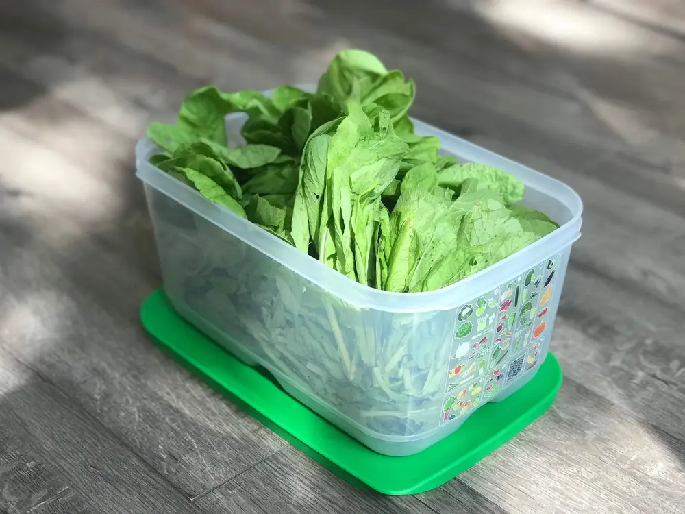 Hộp nhựa chuyên dụng đựng rau - bí quyết bảo quản sự tươi ngon của rau xanh