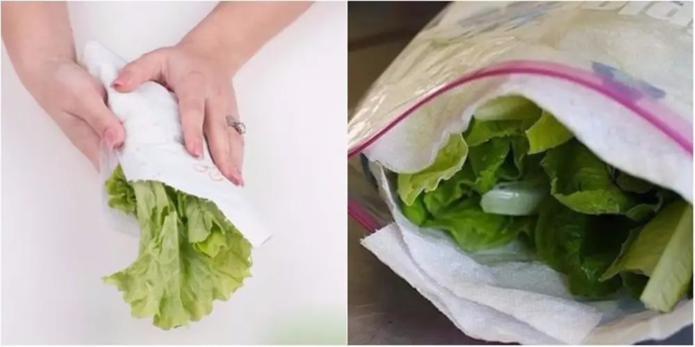 Giấy báo hút ẩm, bảo vệ rau khỏi úng dập